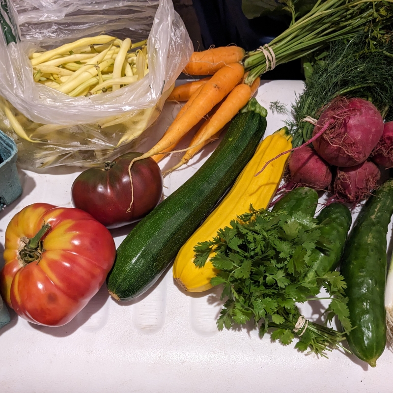Photo of a selection of community supported agriculture (CSA) produce available to Dakota Food Rx patients.