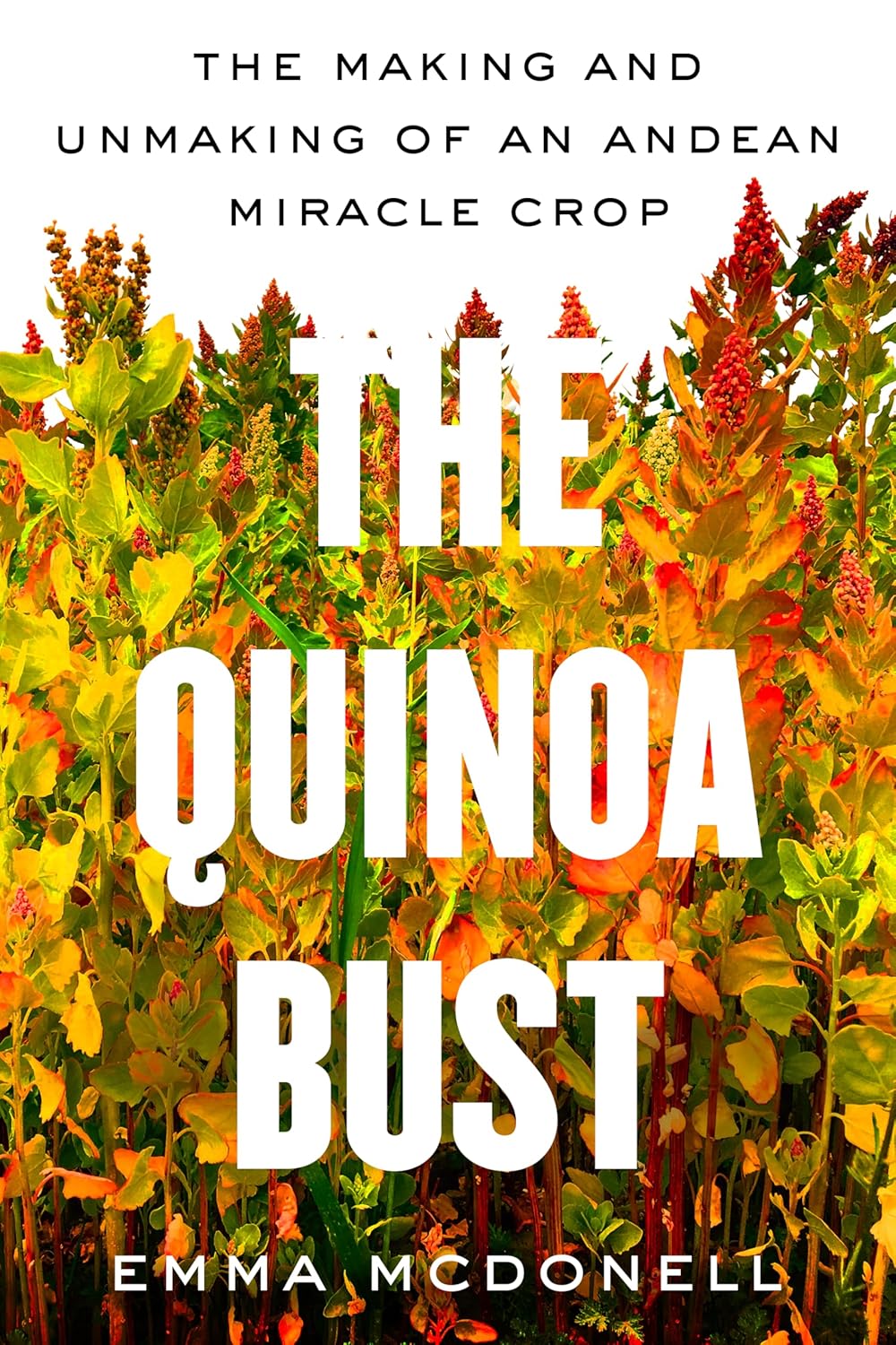Cover of The Quinoa Bust by Emma McDonell