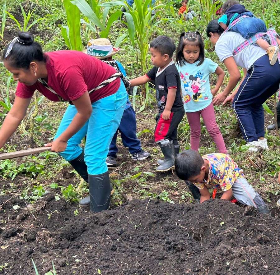 Photo of a community minga for the construction of a pilot tul (traditional household garden), where native seeds are cultivated as part of food autonomy strategies, 2024. Source: From the photographic record of the project.